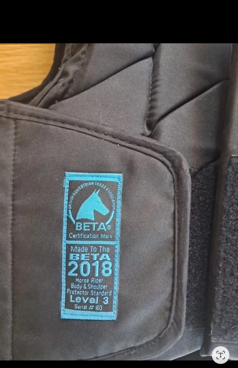 Back protector size CL - Image 3