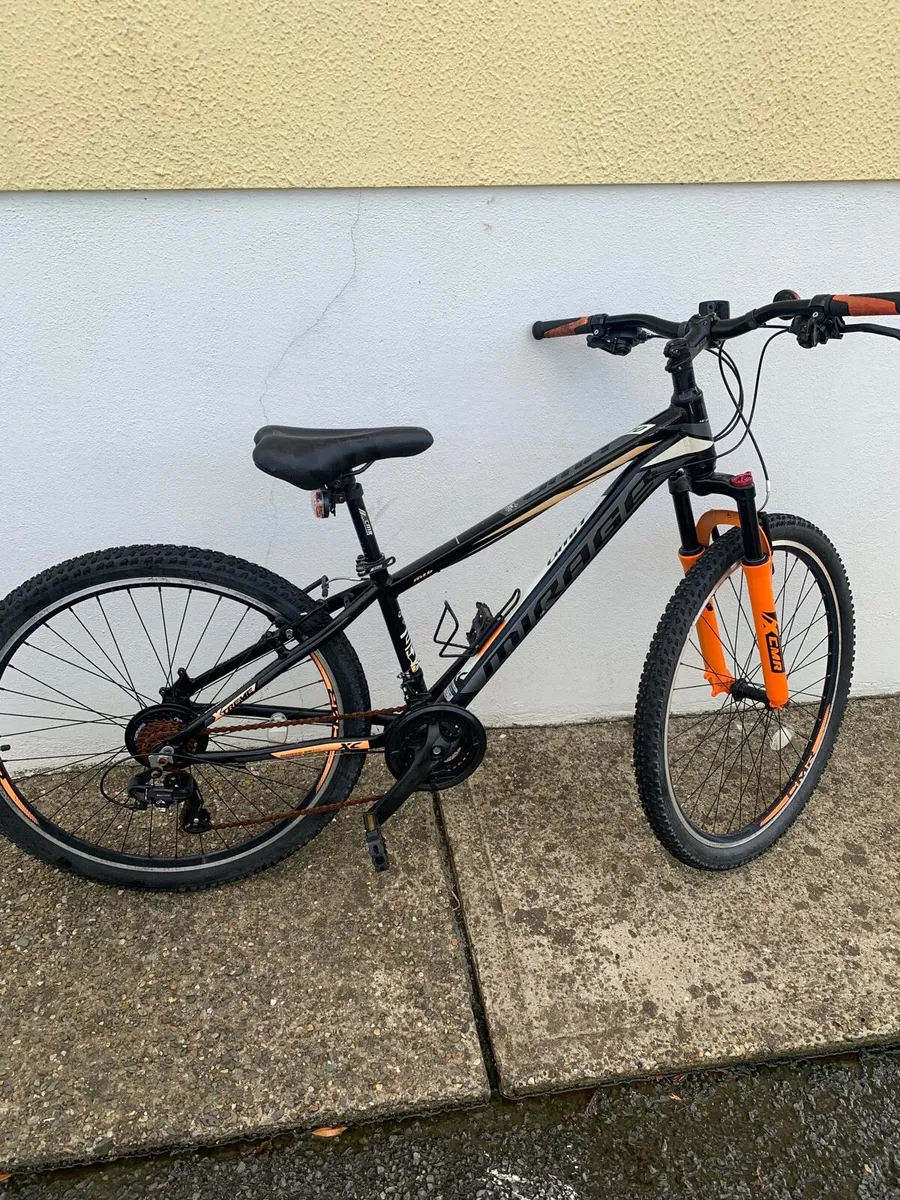 Mountain Bike - Image 1