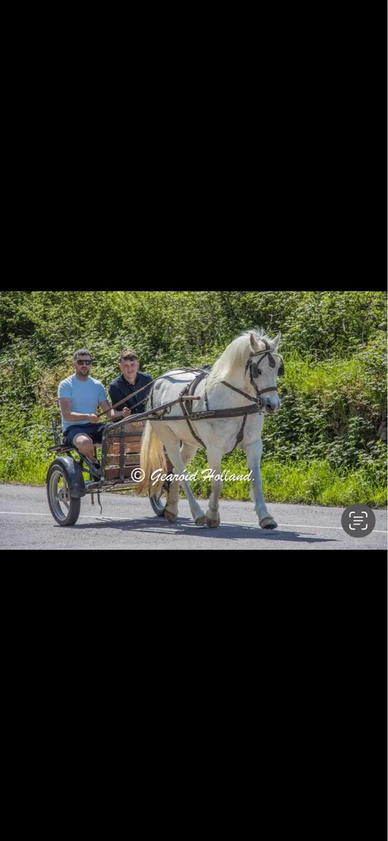 connemara - Image 1