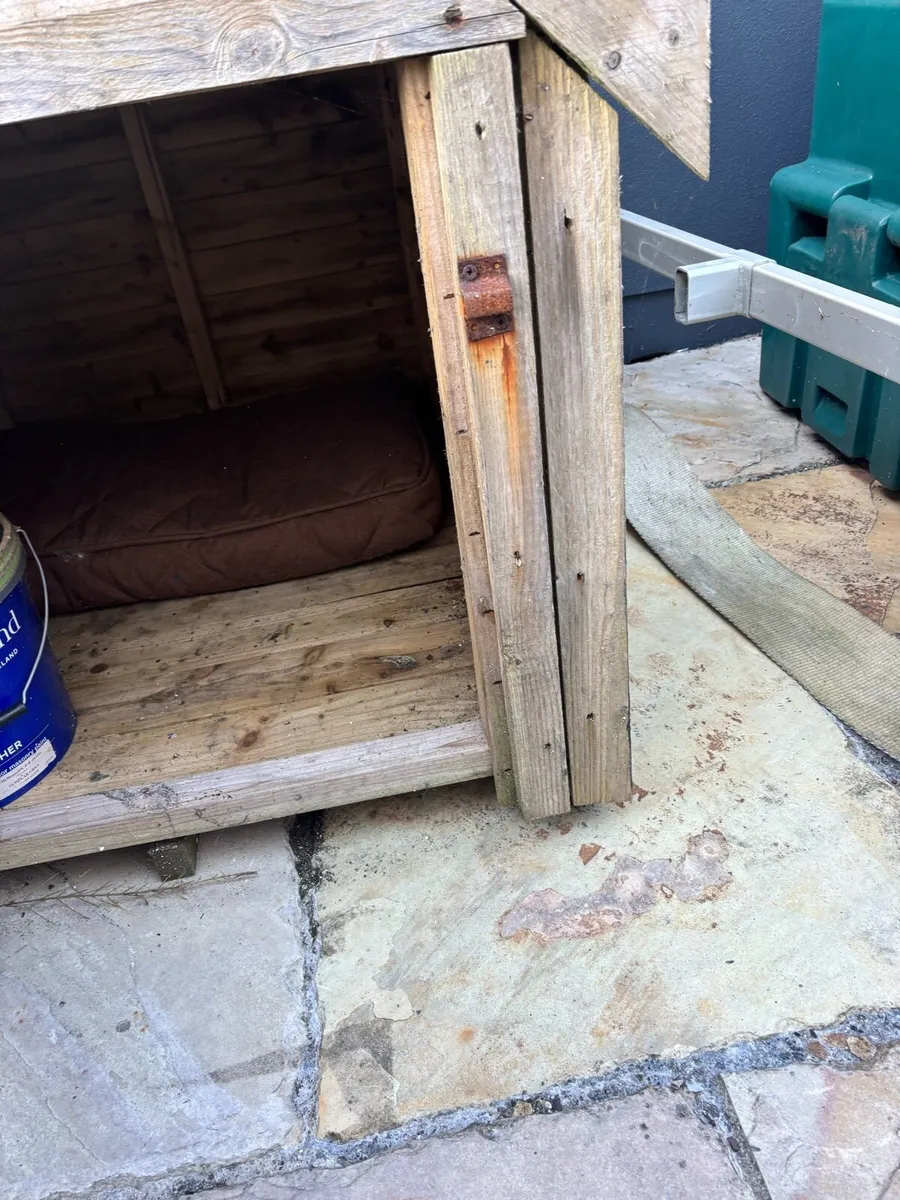 Large dog house - Image 4