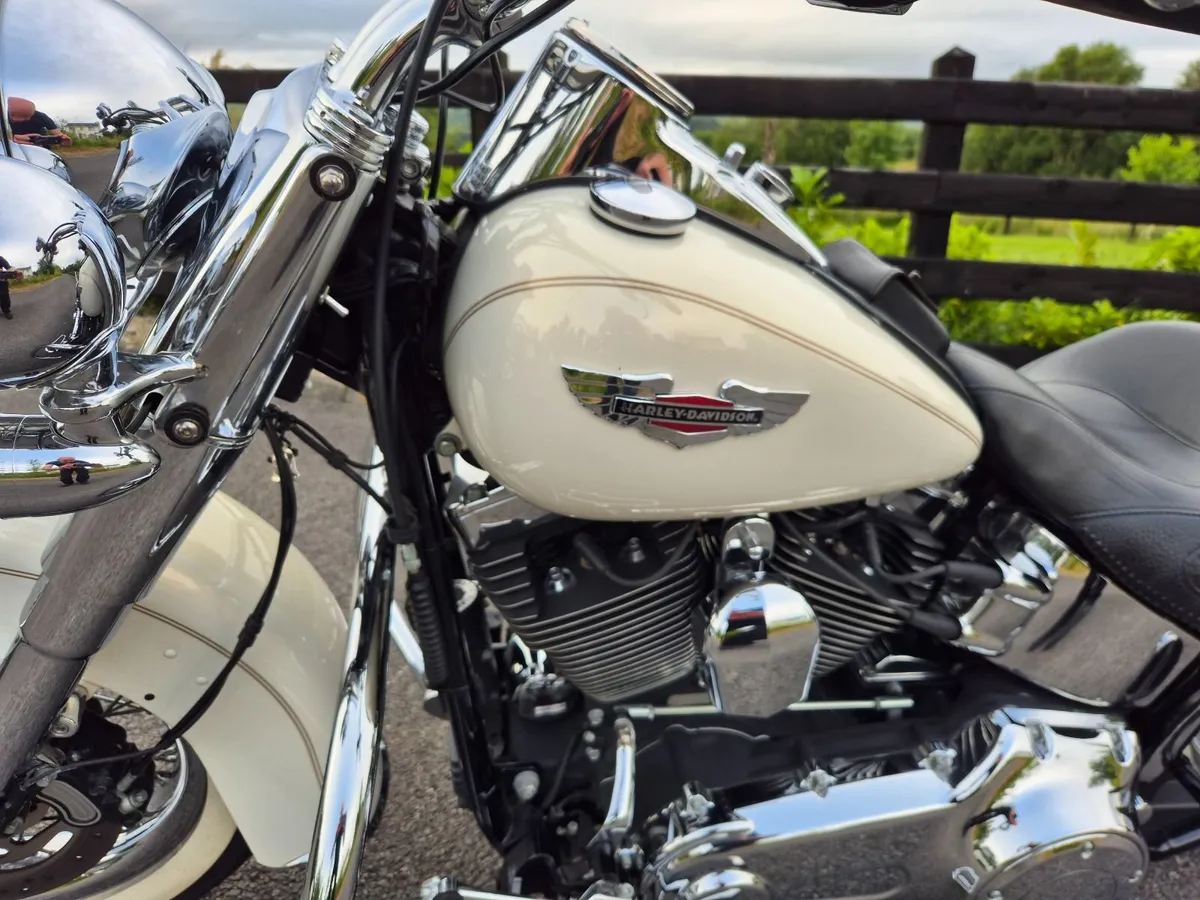 HARLEY DAVIDSON FLSTN 2014 - Image 3