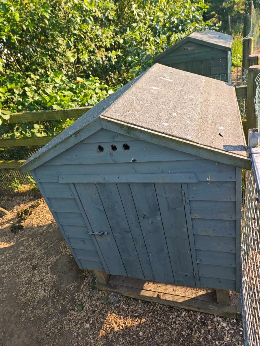 Chicken coop - Image 2