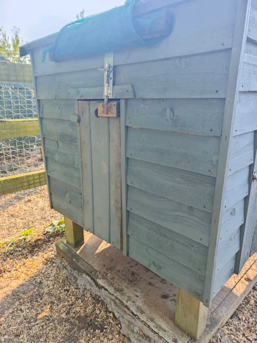 Chicken coop - Image 3