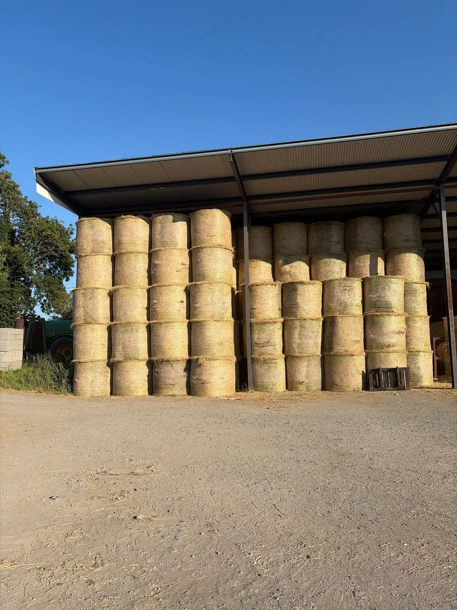 Hay - Image 1
