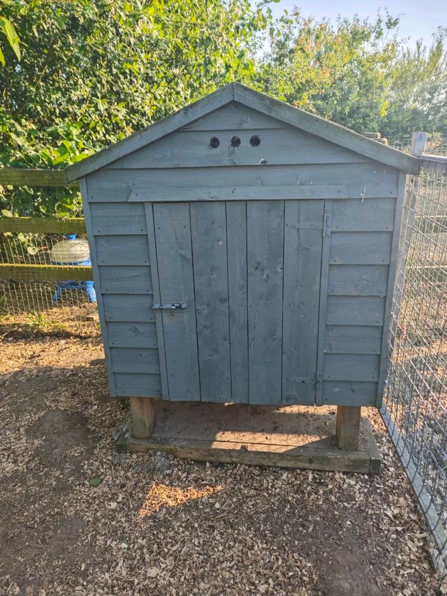Chicken coop - Image 1
