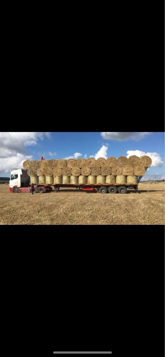 Hay - Image 2