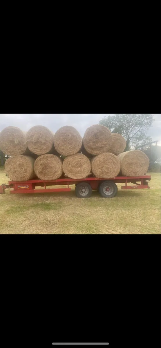 Hay - Image 3