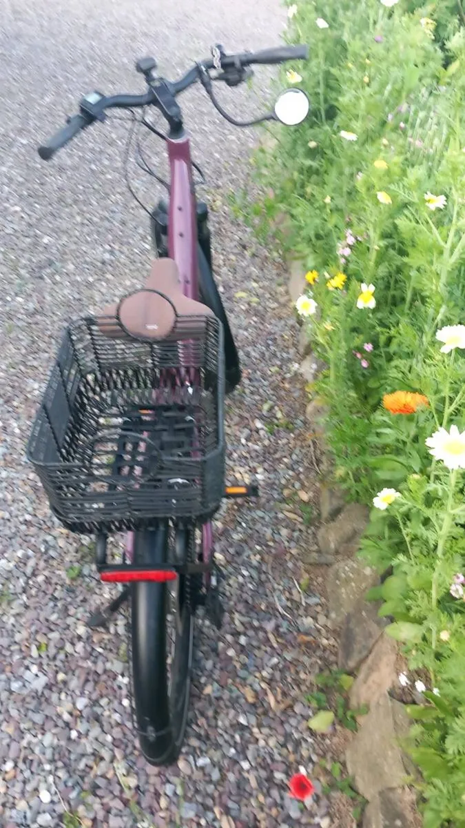 Electric bicycle - Image 2