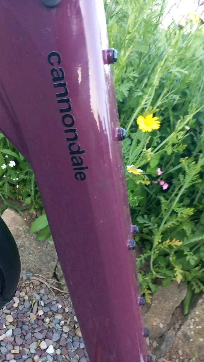 Electric bicycle - Image 3