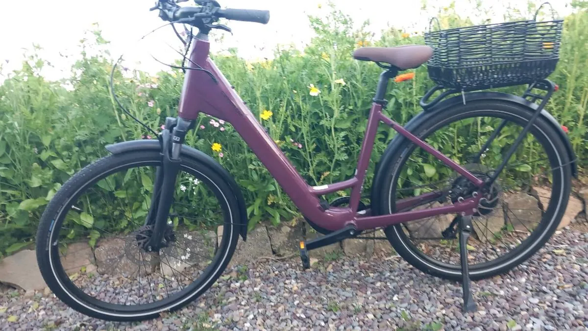 Electric bicycle - Image 1
