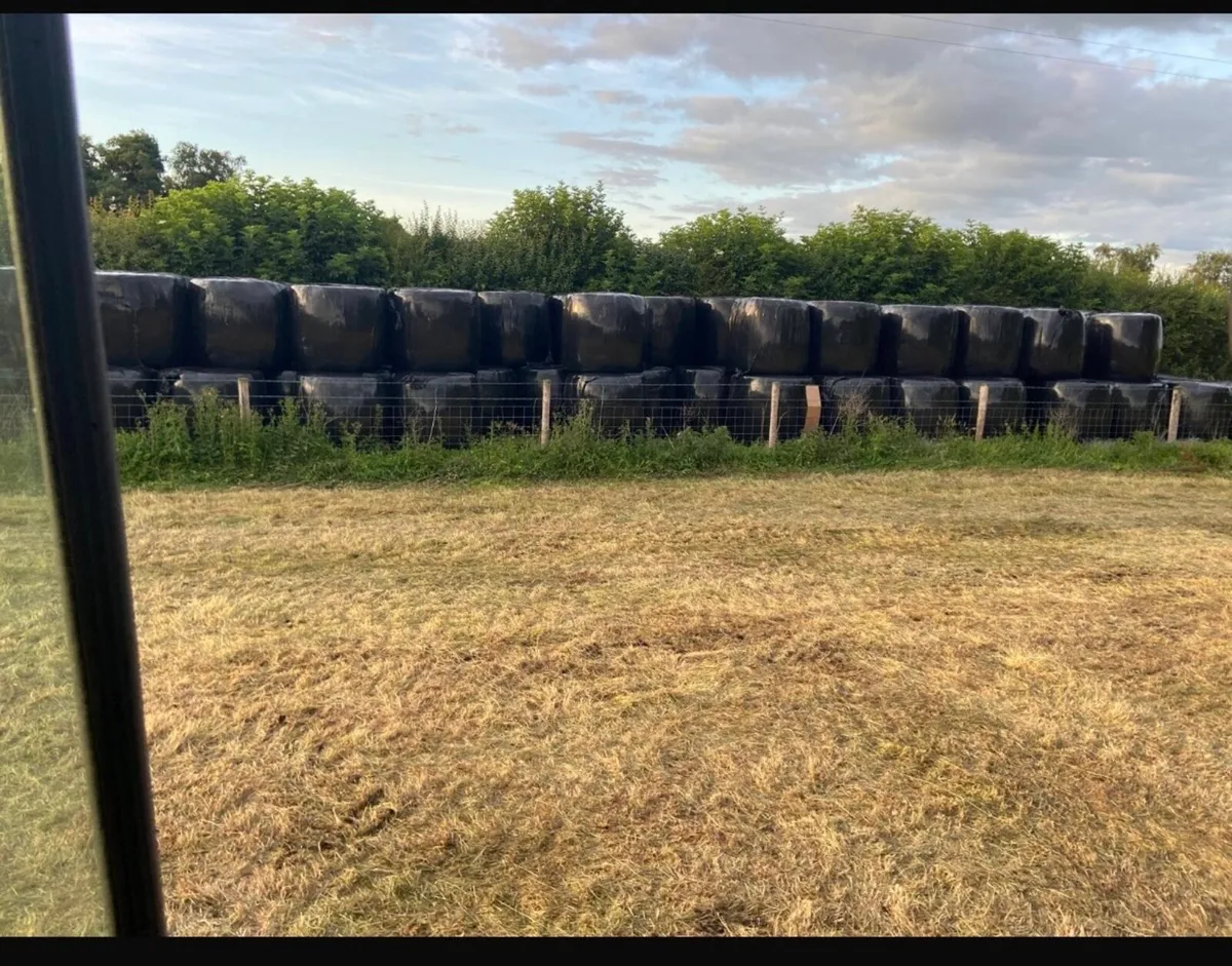 Haylage bales - Image 2