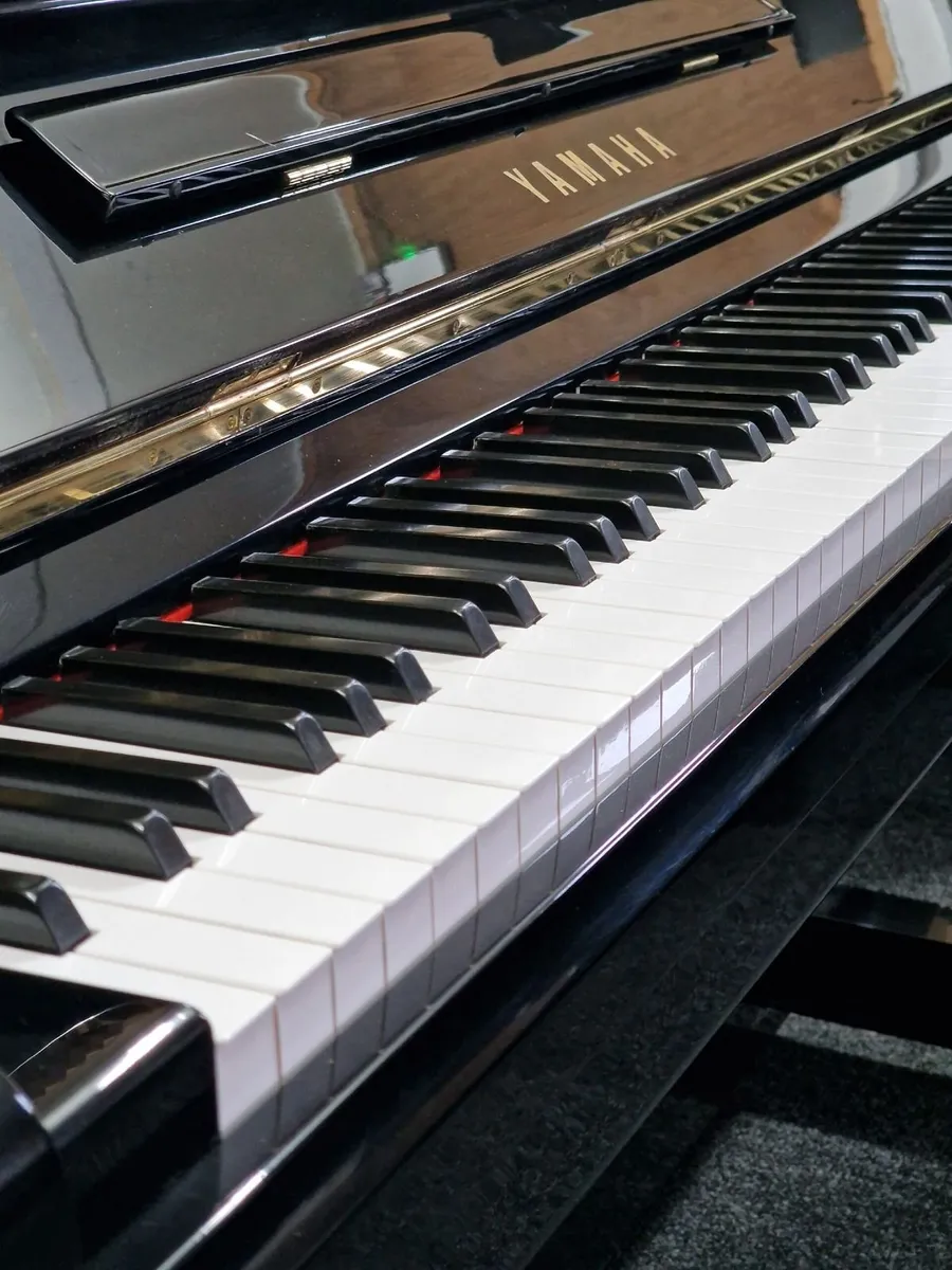 Yamaha YUS U1 | c.1983 | Polished Black Finish - Image 2