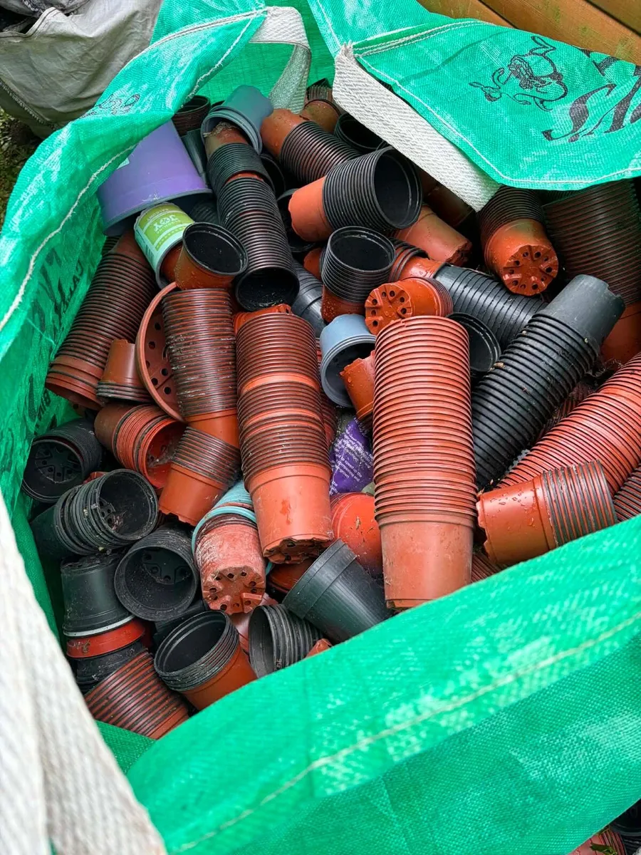 pots planting - Image 3