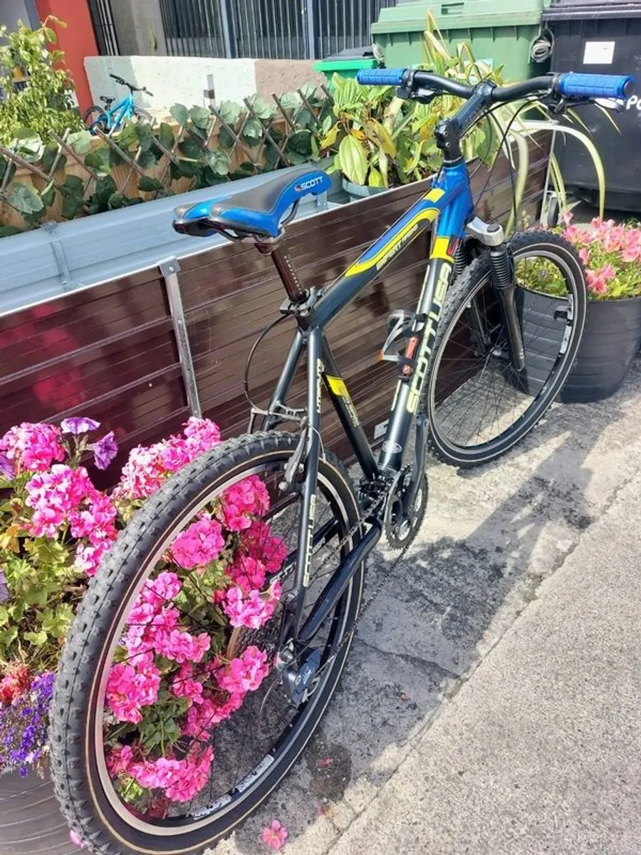 Scott expert racing mountain bike - Image 2