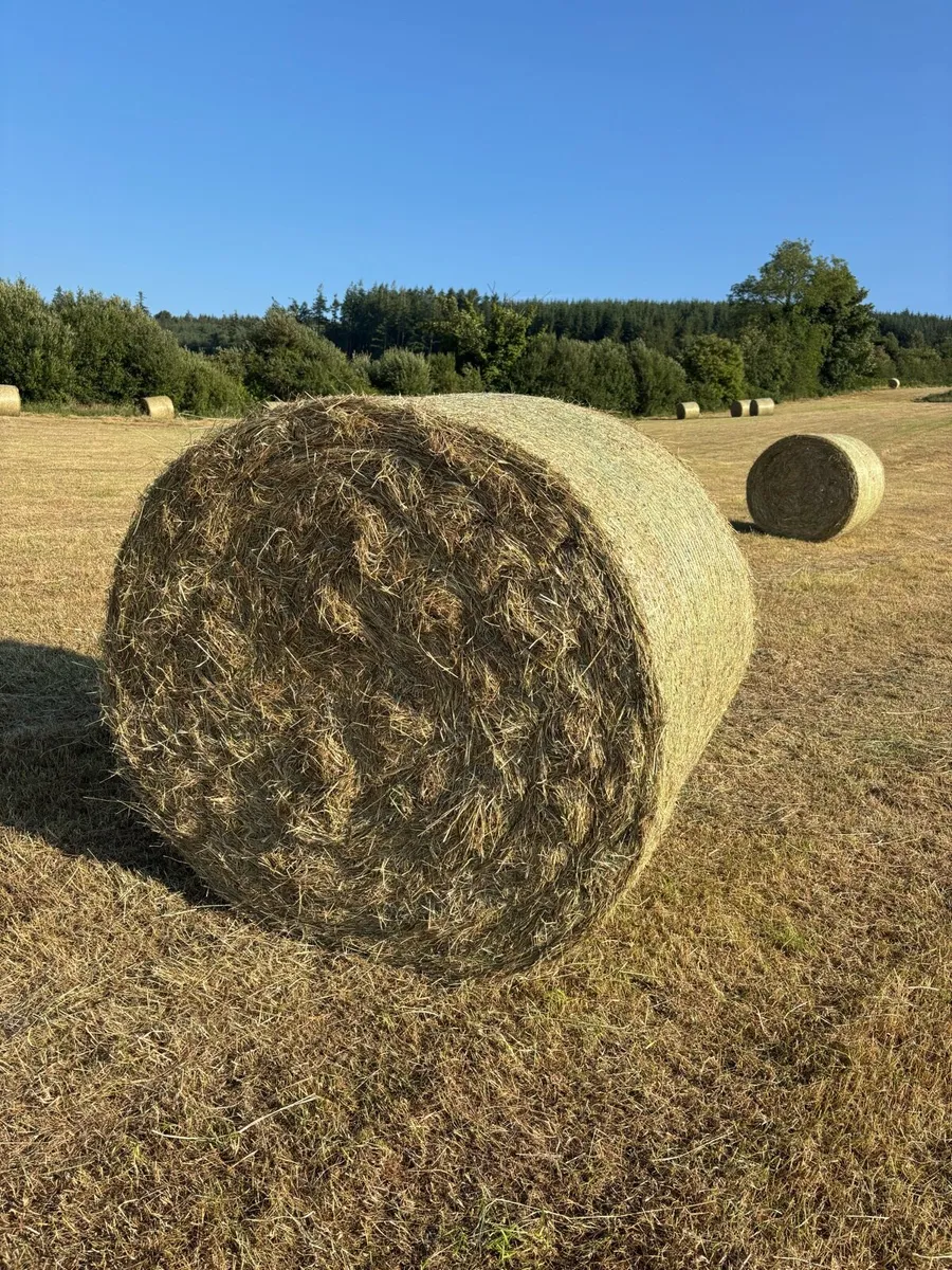 Hay 4x4 - Image 2