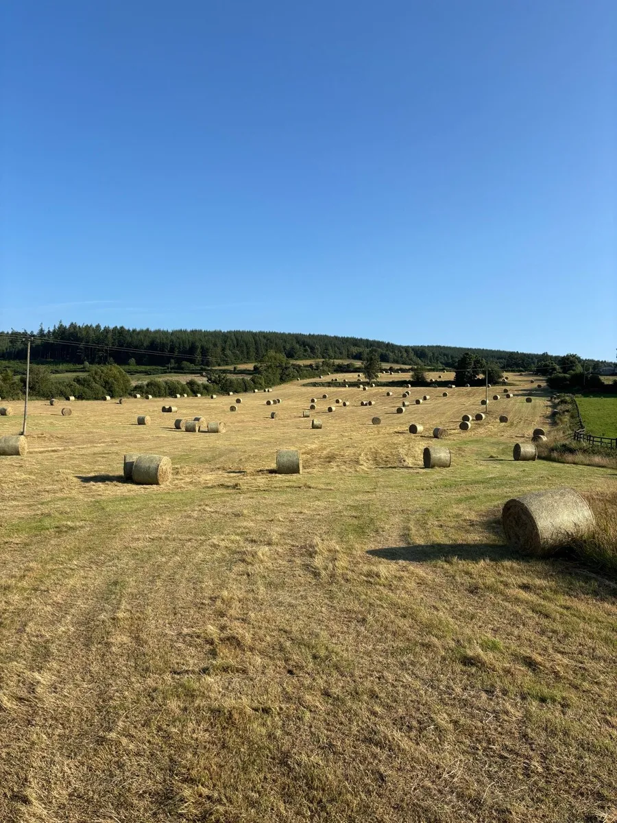 Hay 4x4 - Image 3