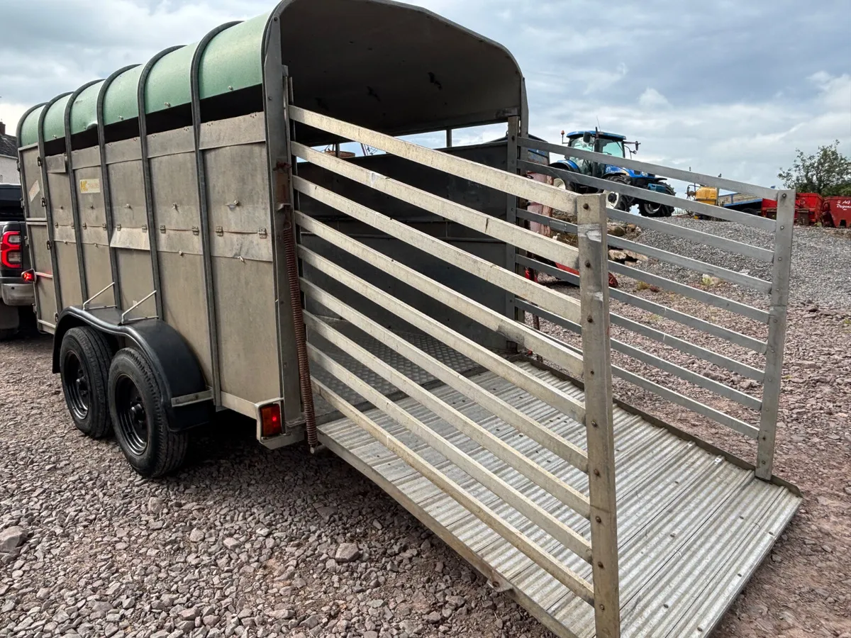 Nc 12ft x 6ft cattle trailer - Image 4