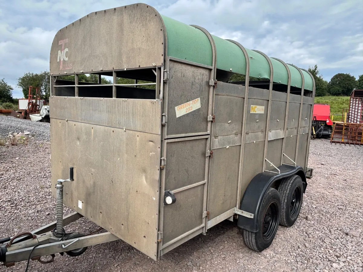 Nc 12ft x 6ft cattle trailer - Image 1