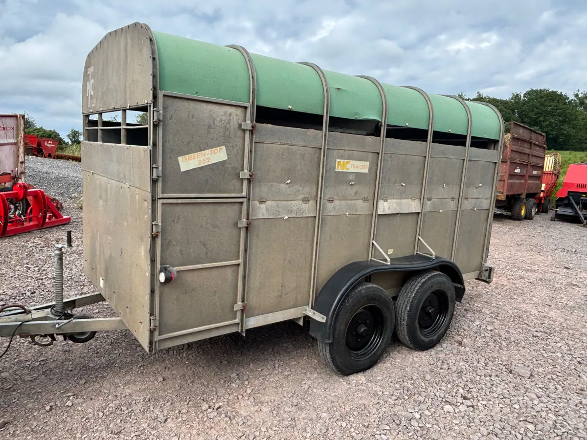 Nc 12ft x 6ft cattle trailer - Image 3