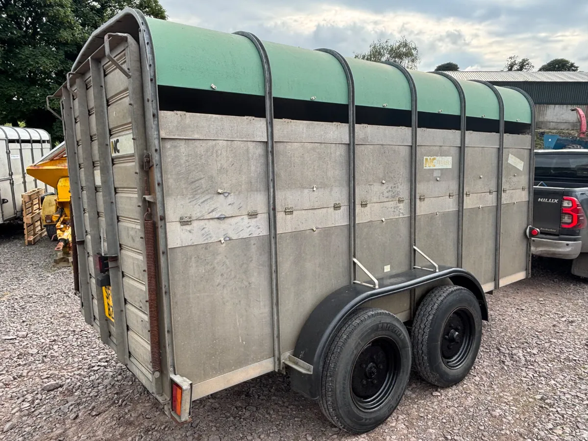 Nc 12ft x 6ft cattle trailer - Image 2