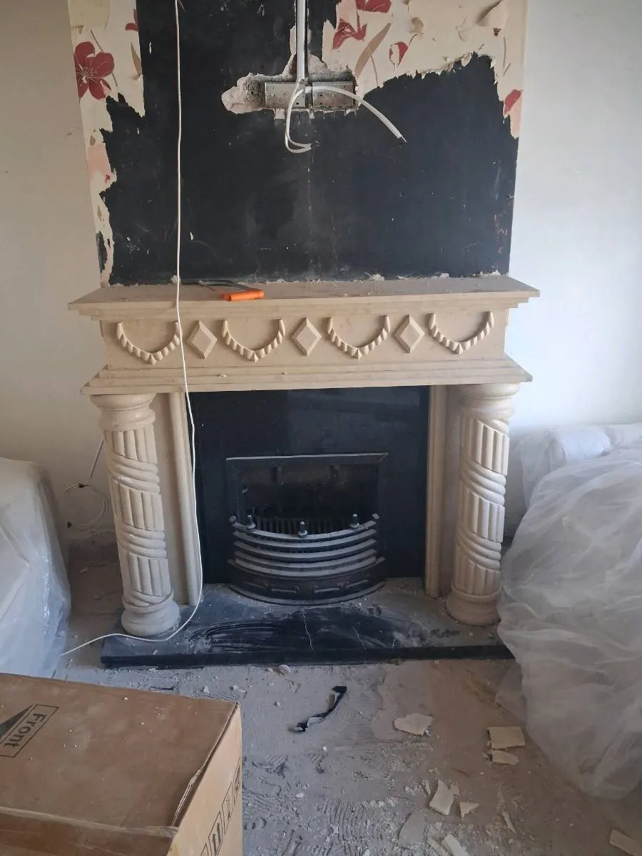 Doors and fireplace - Image 1