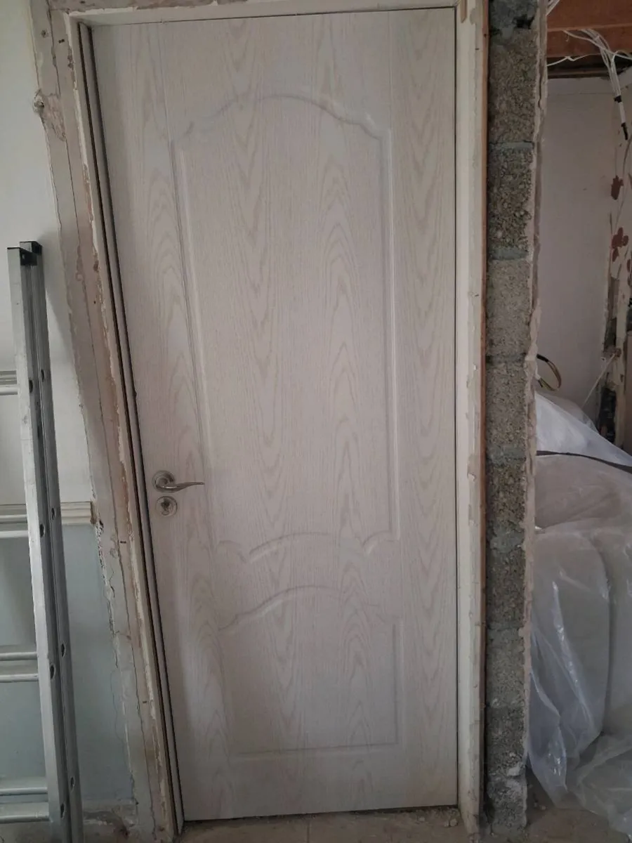 Doors and fireplace - Image 2