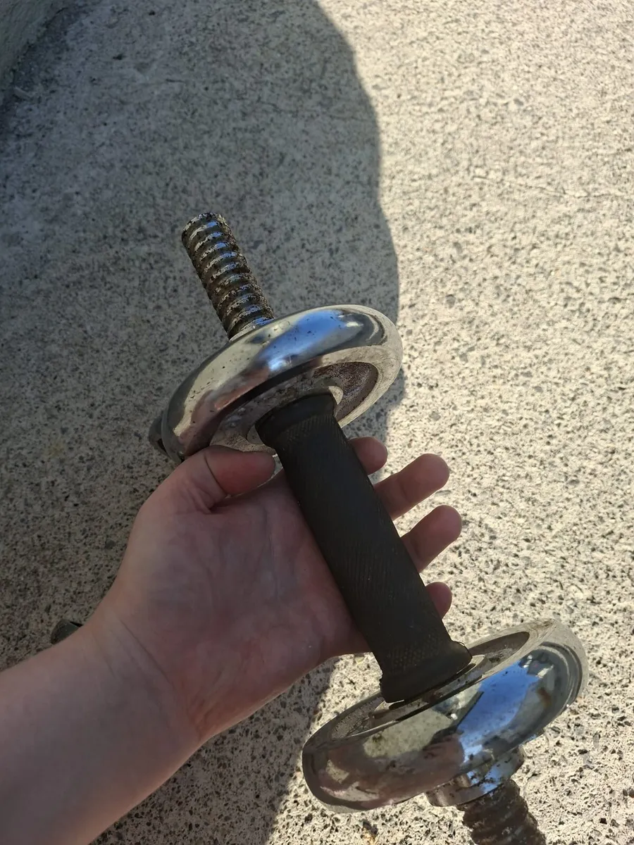 Dumbbells - Image 2