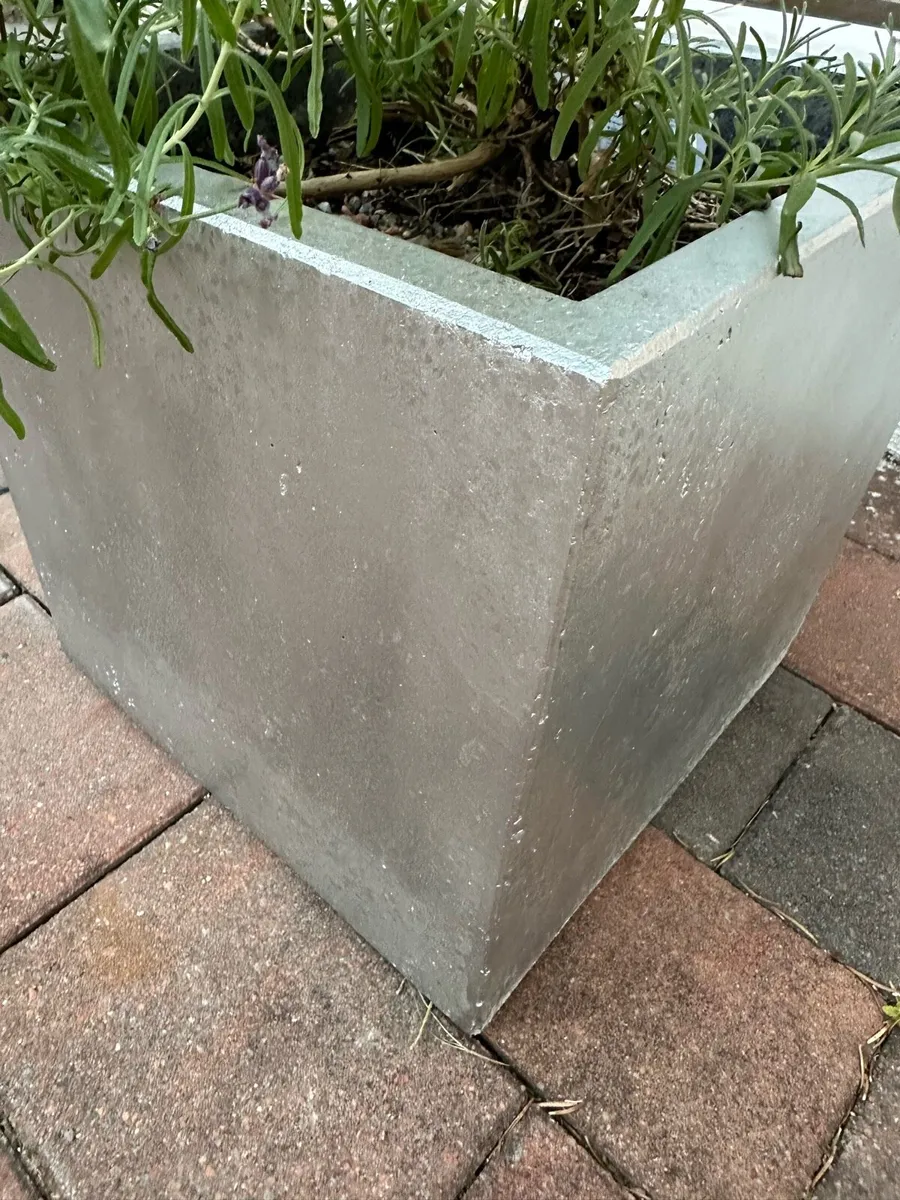 Lavander pot - Image 2