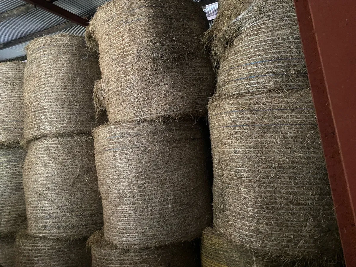 Horse hay - Image 1