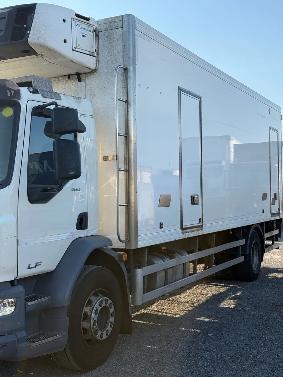 Daf LF fridge truck - Image 1
