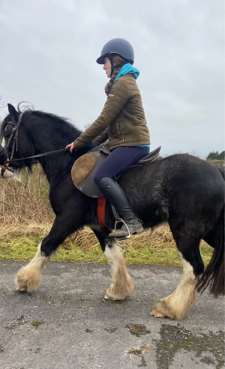 Horse - Image 4