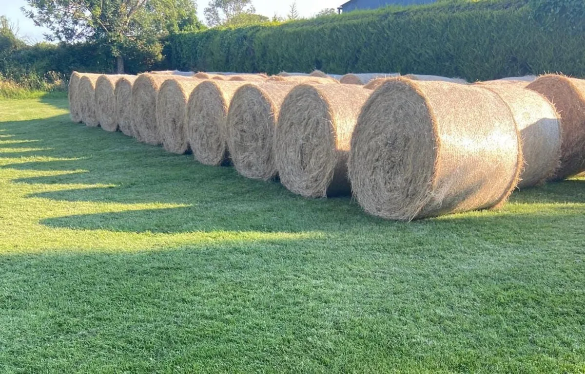30 Bales Organic Hay