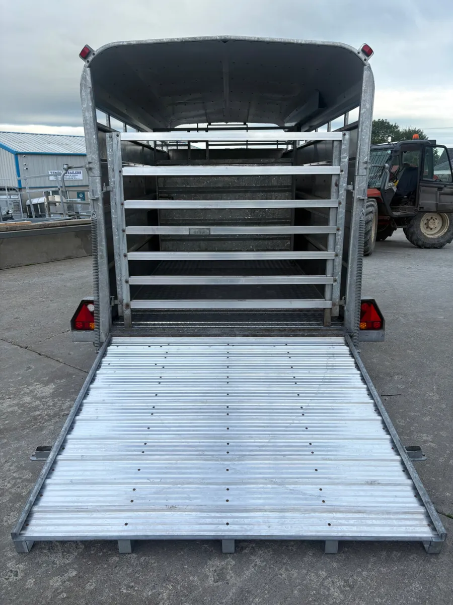 Tuff Mac 14x6 Tri axle cattle trailer - Image 4