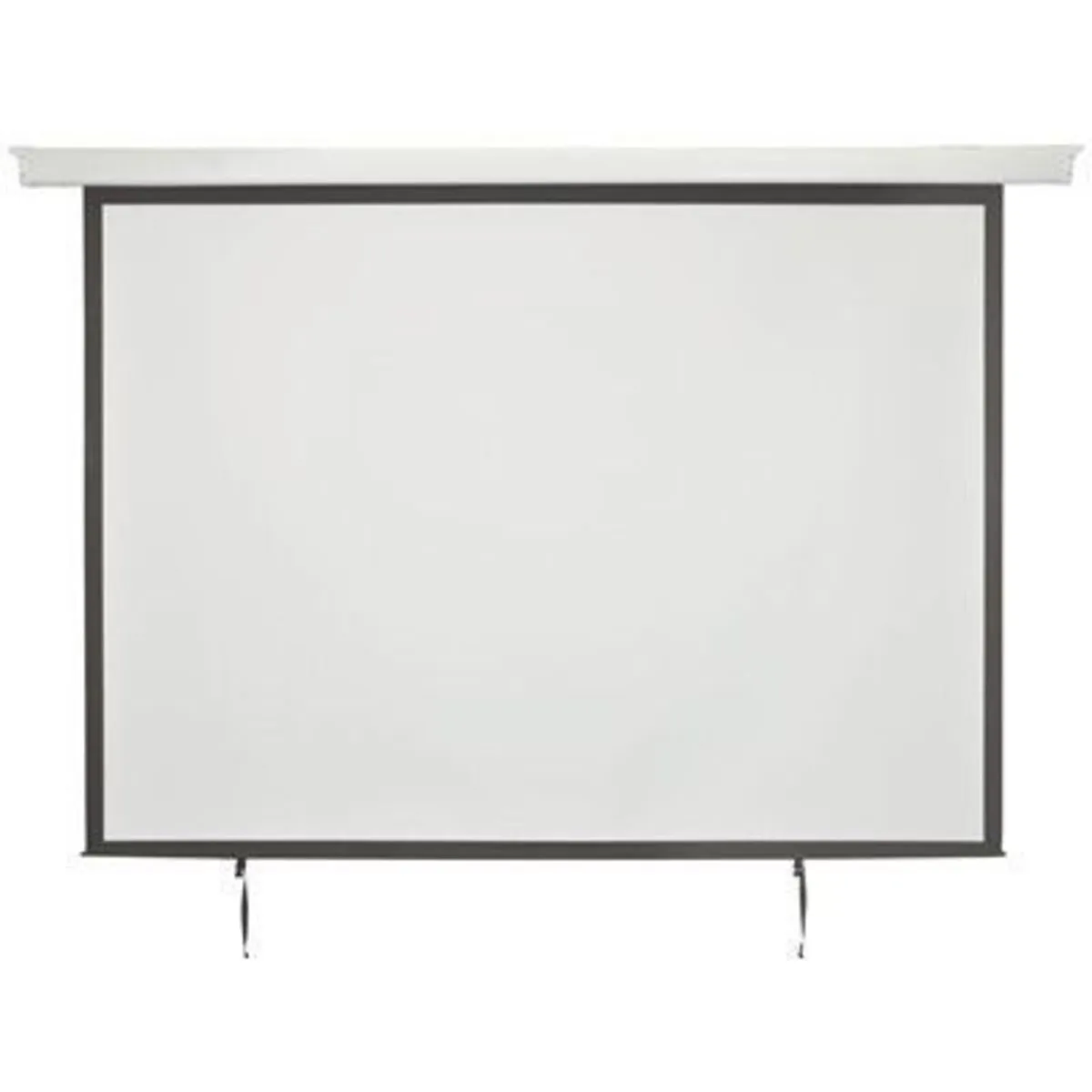 100" Motorized Projector Screen