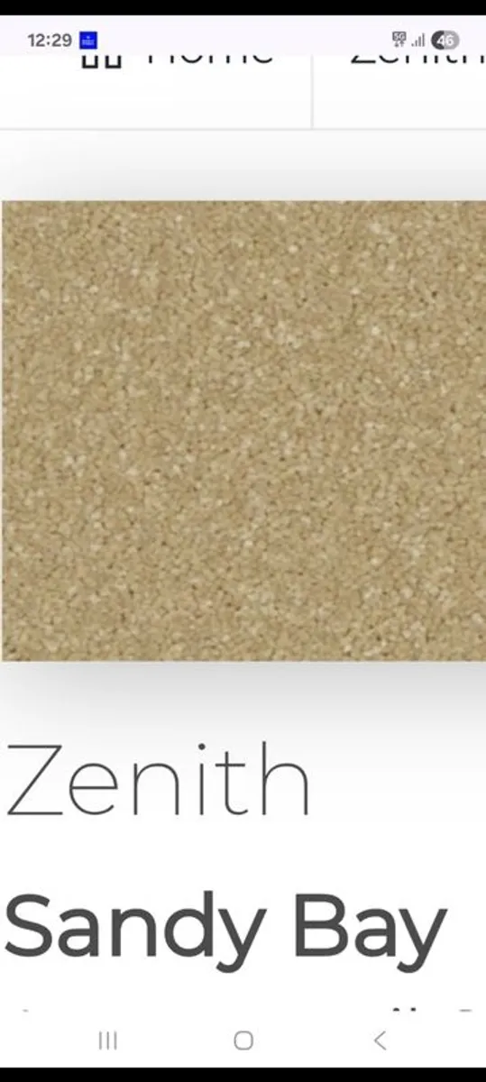 Carpet - Image 1
