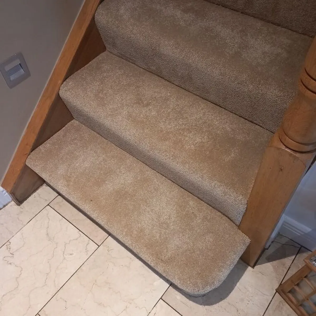 Carpet - Image 2