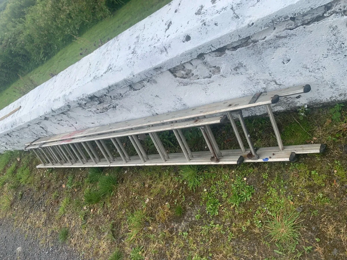 Roof Ladder - Image 3