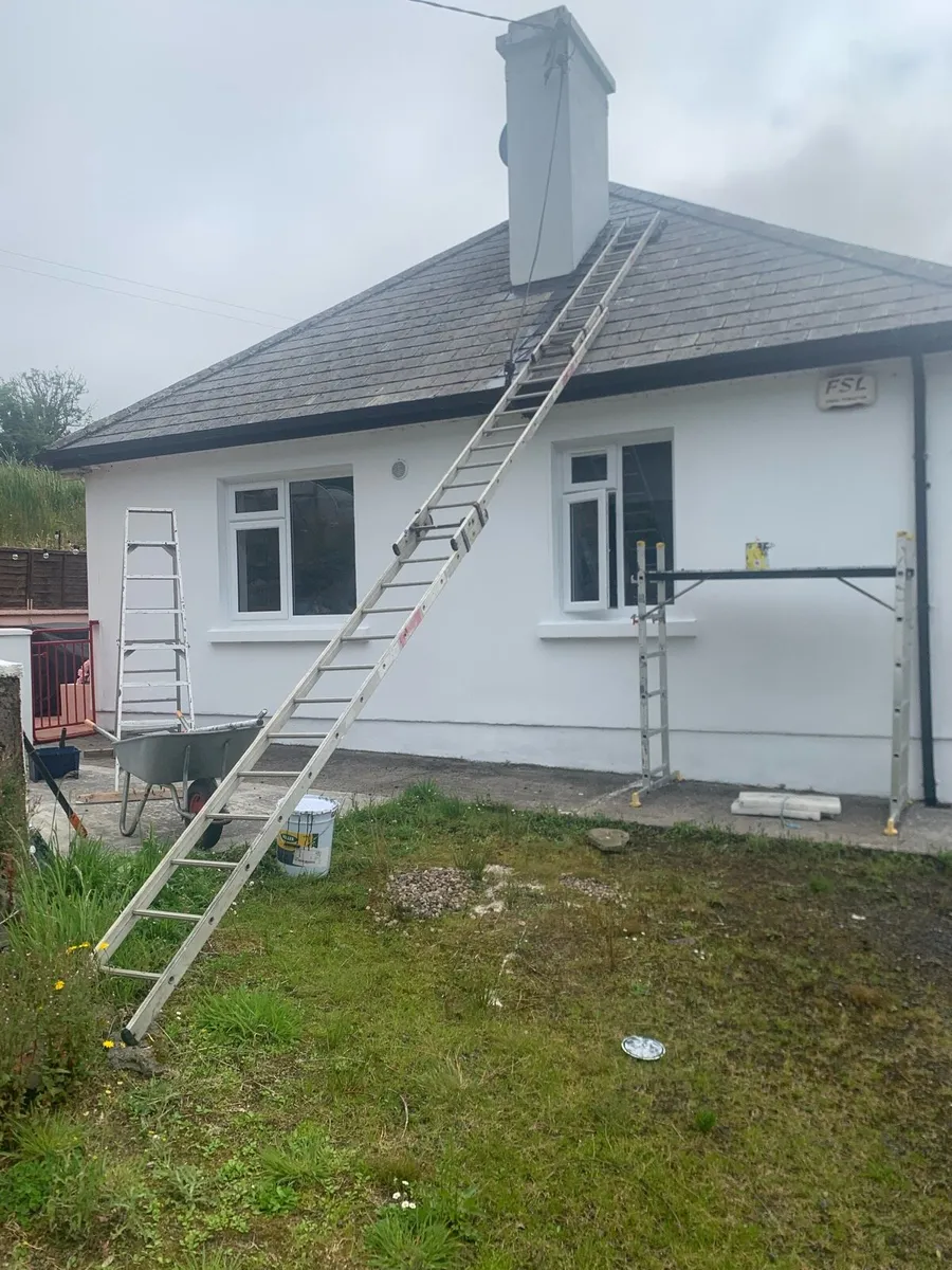 Roof Ladder - Image 1