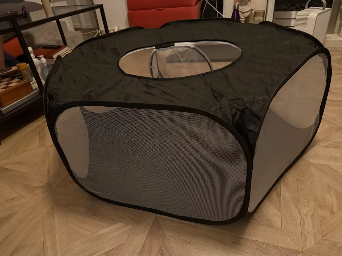 Hamster accessories - Image 3