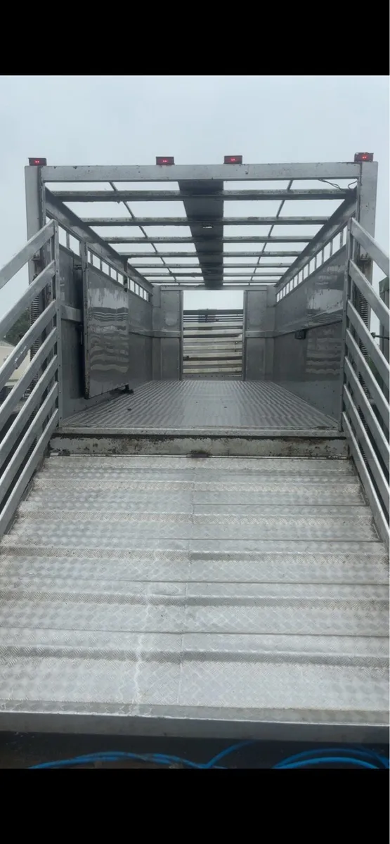 Livestock haulage and cattle wanted - Image 2