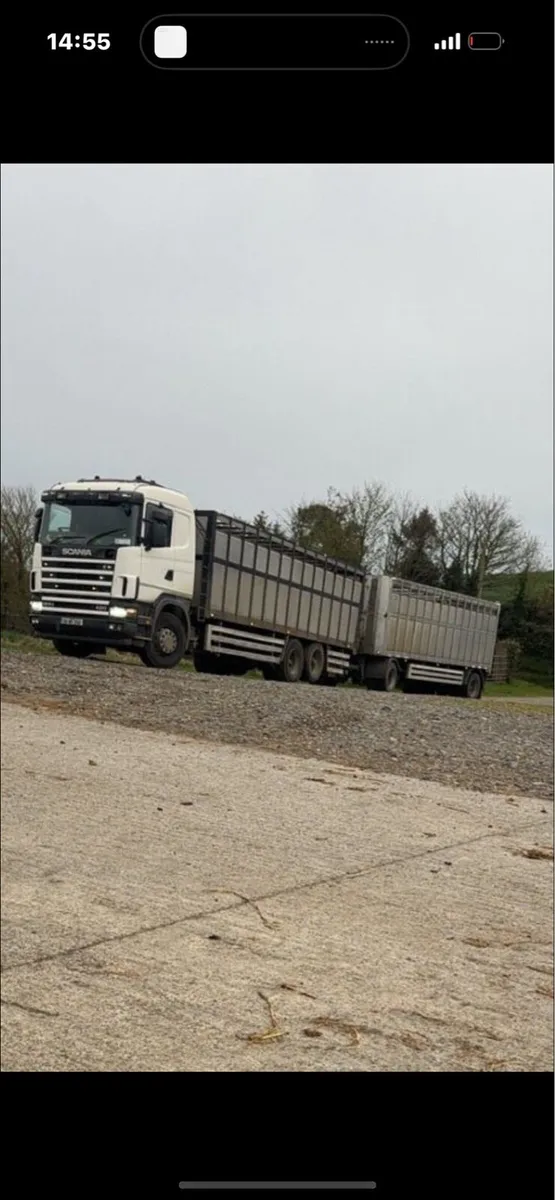 Livestock haulage and livestock required - Image 1