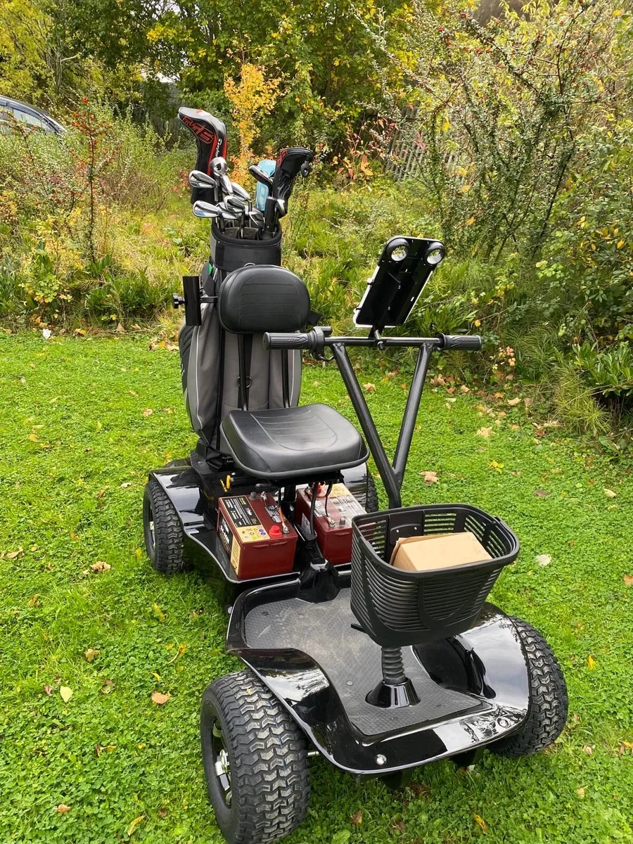 Single seater Golf buggy - Image 4