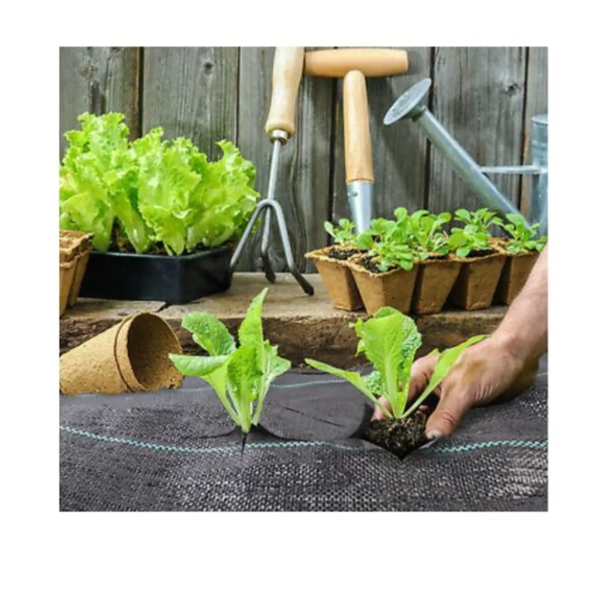 Weed Control Fabric 100gsm – 1.5m x 50m - Image 1