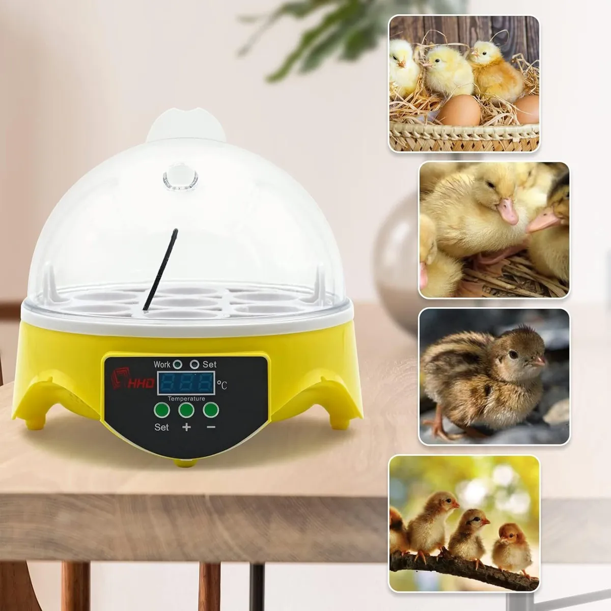Mini 7 Egg Incubator Automatic Hatch Machine - Image 3