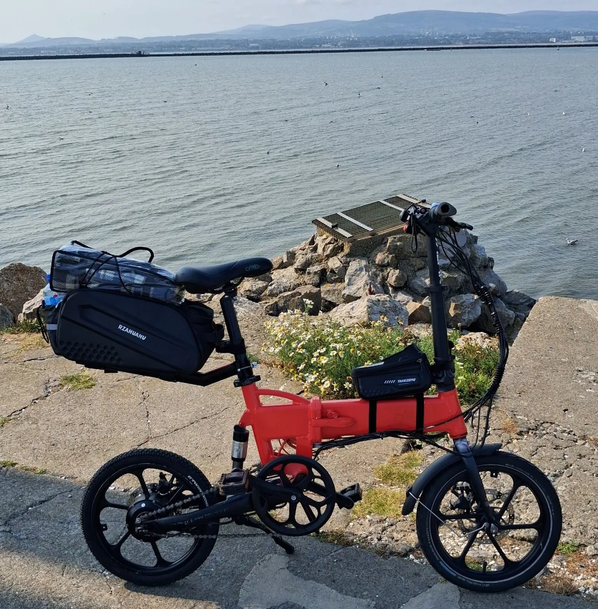 Electric bike - Image 2
