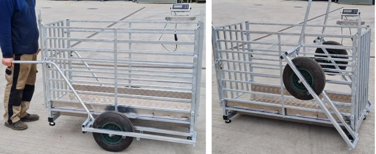 calf transporter & scales - Image 1