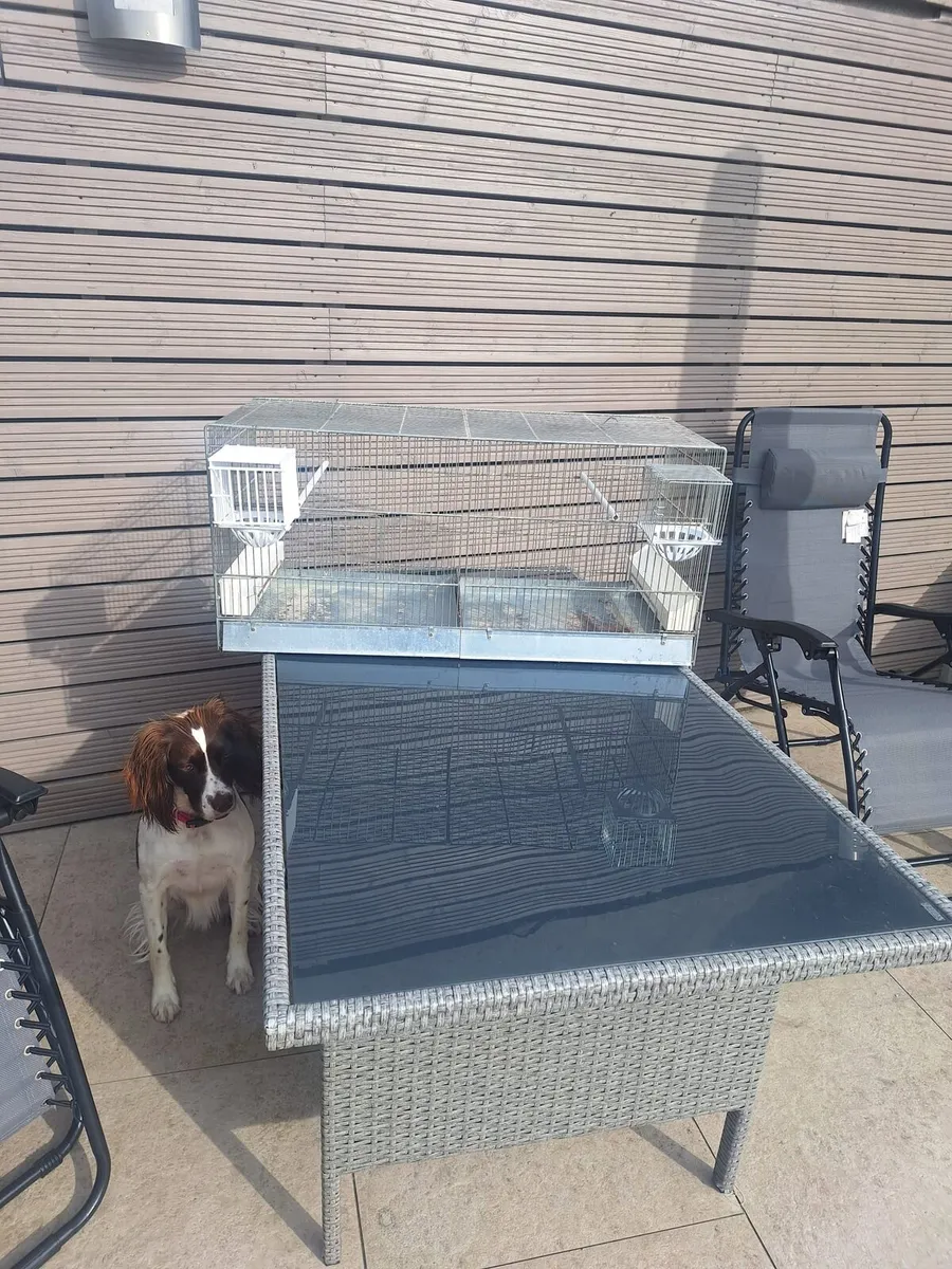 Steel Breeding Cage