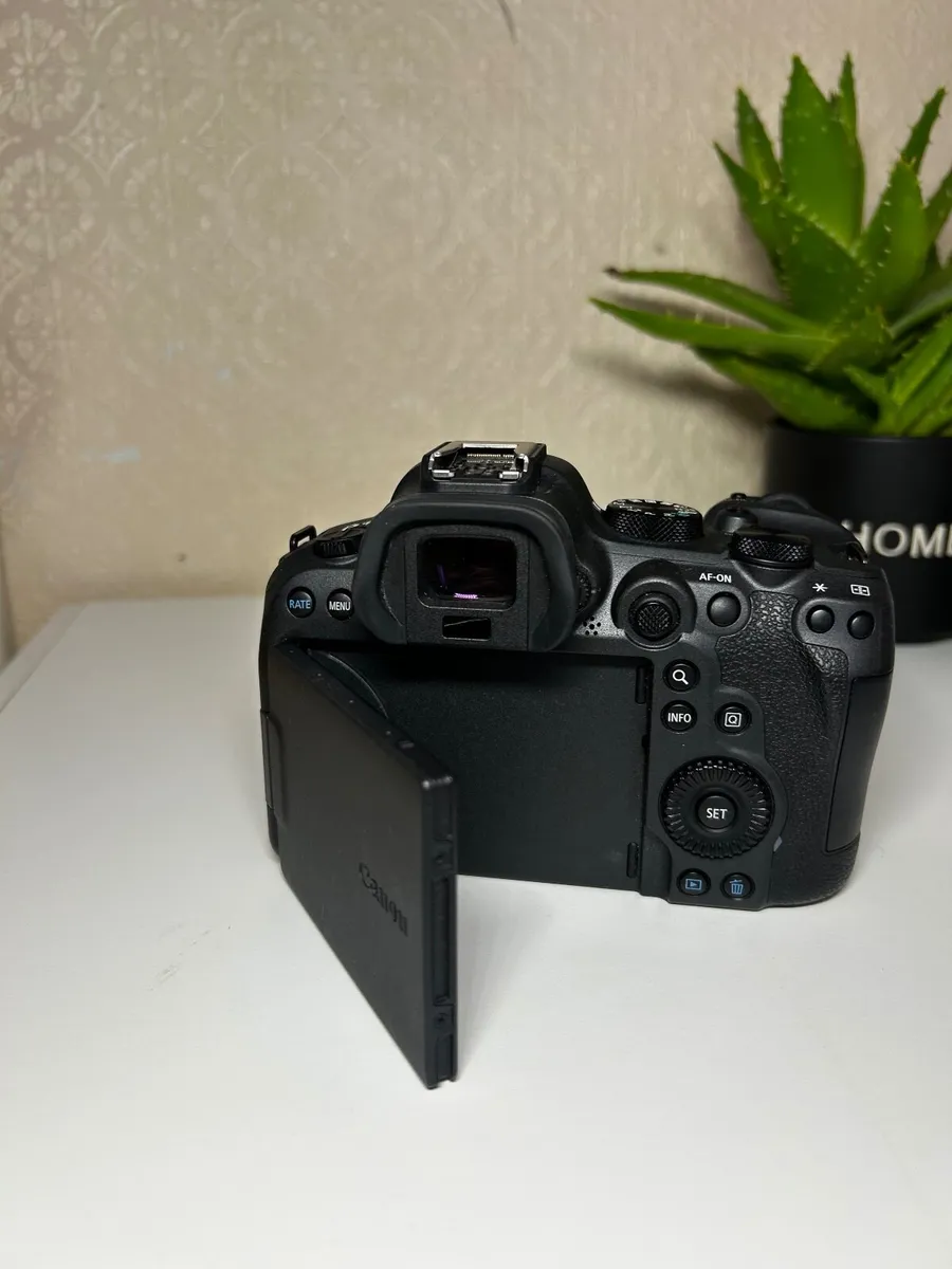 Canon EOS R6 Mark II (Body Only) + Canon adapter - Image 2