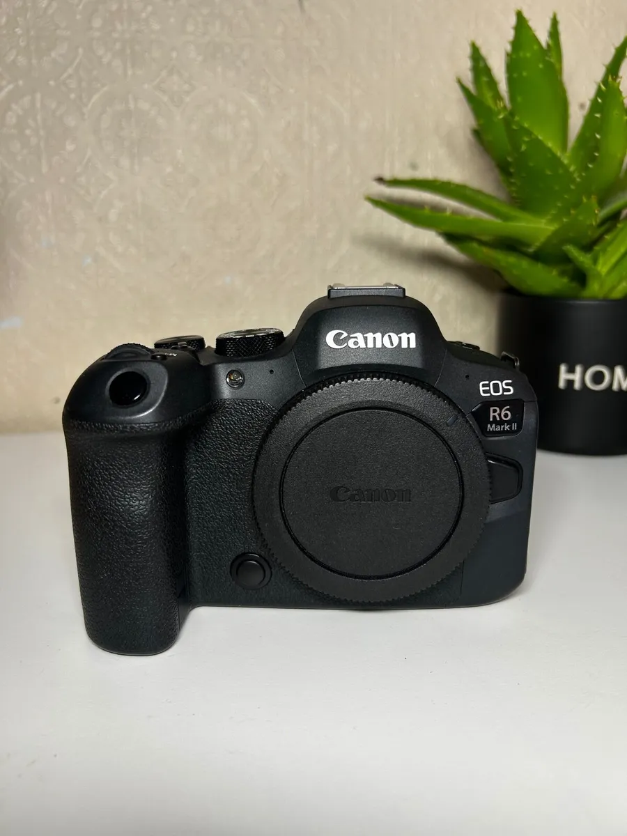 Canon EOS R6 Mark II (Body Only) + Canon adapter - Image 4