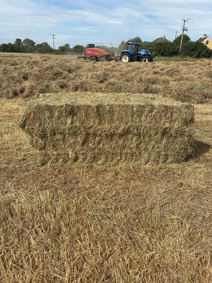**QUALITY SOFT GREEN HAY 26** - Image 1